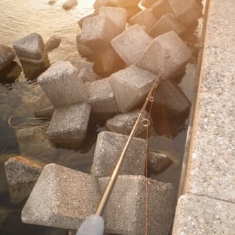 2024.6.15  夏の魚を狙ってみるが・・・　　　　石川県能登半島珠洲市蛸島漁港