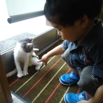 ねこたチャンとご対面♪
