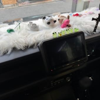 車のダッシュボードにぬいぐるみを置きました　k-hashii-japan　2024年11月25日