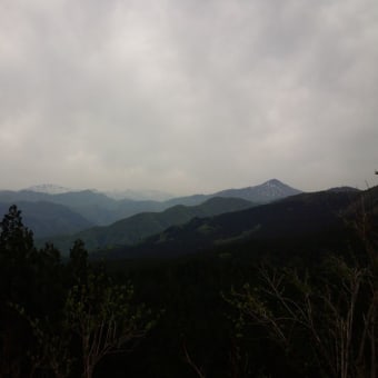 町道白神二ッ森線