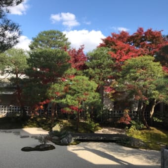 島根に行ってきました