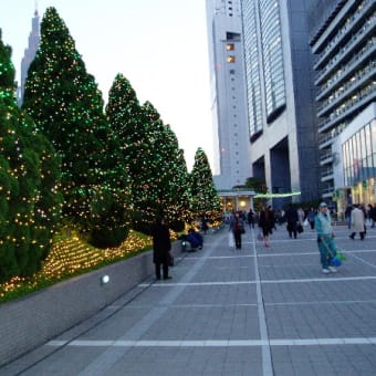 毎年恒例になった新宿のイルミネーション