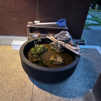 小さい小さい命