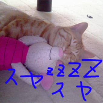 本日は、晴れの予想！！