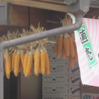 2016年9月28日　水曜日　松籟荘を出発