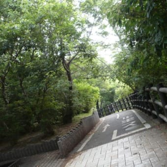 多摩湖自主トレ