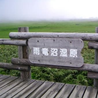 雨竜沼湿原