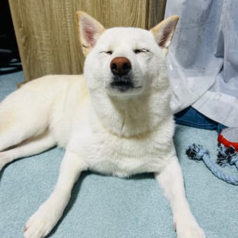 どうしよっかな