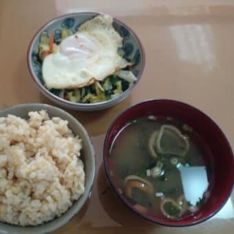 本日の昼食(^_^)v
