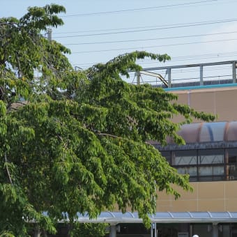 東北本線である埼京線の駅へ