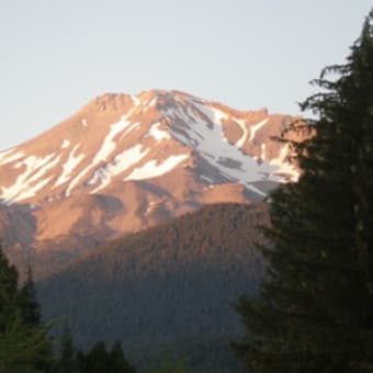 カリフォルニアからハ～イ！（５）　MVPくん登山新記録２５７５メートル達成