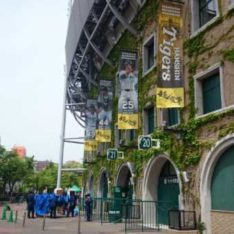 阪神タイガース・・