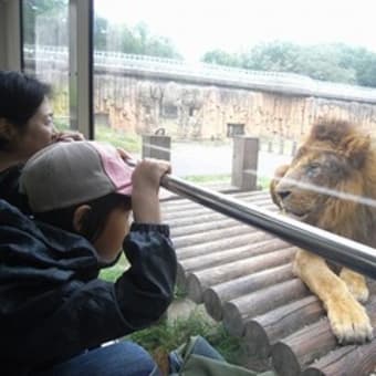 近況