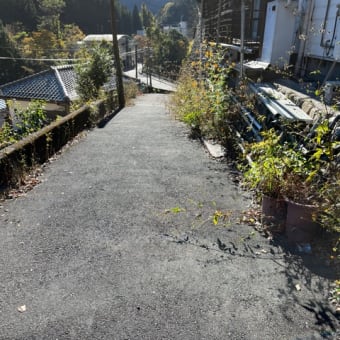 奥多摩むかし道のトロッコ