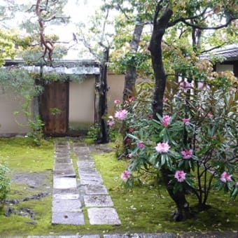 2011年4月23日(土)　大心院（妙心寺）