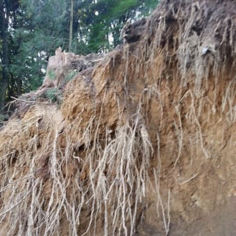 関東・東北大豪雨の後の作業