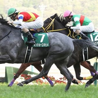 【予想】 第16回 福島牝馬ステークス G3