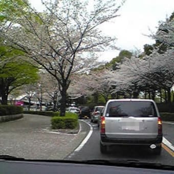 ヨン様と