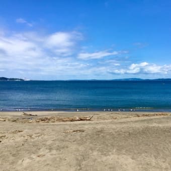 【 三浦半島1周 】　ライド2　126km