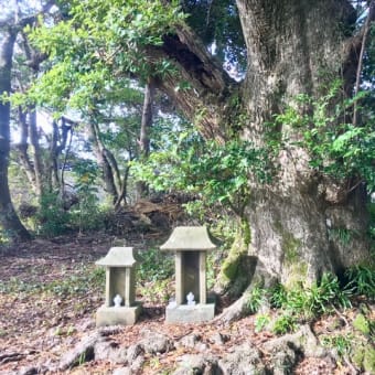 山祗神社