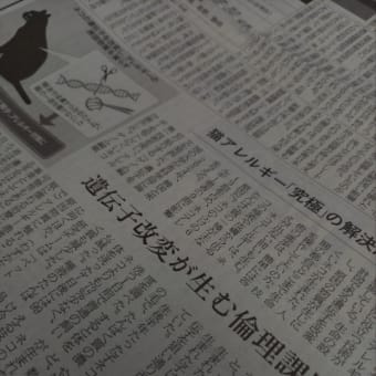 新聞よんでます
