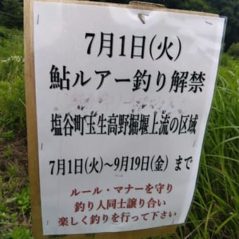 アユイング（アユルアー釣り）