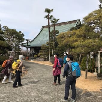 曽我梅林で梅を愛でる