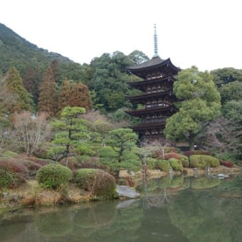 宵待ちの宿 萩一輪