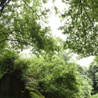 石切り場跡から神武寺へ・・・行けない