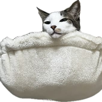 視てるだけぇ