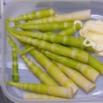 お土産