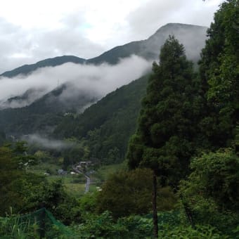令和7年6月25日・今朝の東祖谷