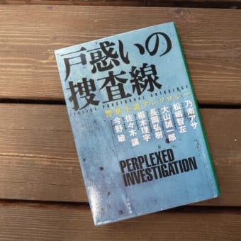 戸惑いの捜査線