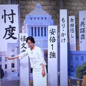 170619 何が問題なのか分からない加計学園問題「総理のご意向」の意味は、これですか。