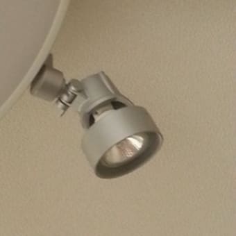 休みはいいなぁ