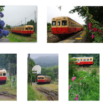 6月の小湊鉄道沿線風景