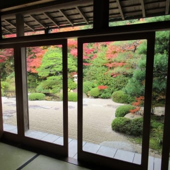 晩秋の松江の風景　　松江城、月照寺、楽山公園　2019年11月27日