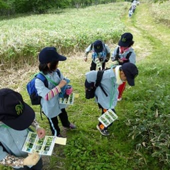 中学年で峰浜小の紹介をします