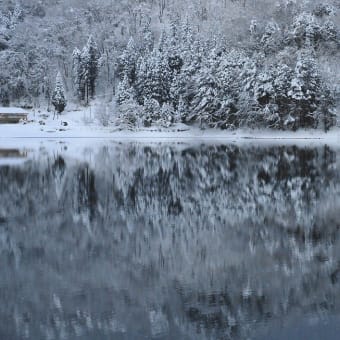 湖畔の雪景色　仁科三湖