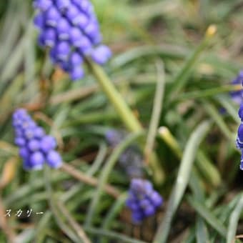 久々の休日の晴れ間・・