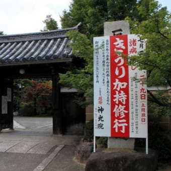 引っ越し先　はてなブログ