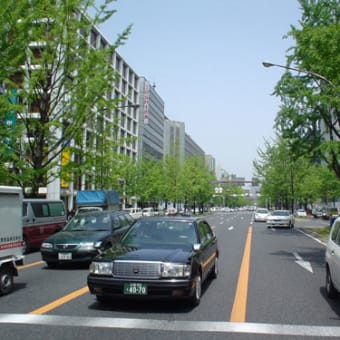 芋虫みたいなのが歩道にいっぱい