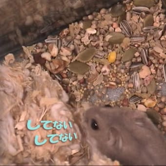 「地面から拾って進化してきた」って？