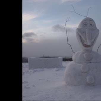 市民雪像ゆきまつりinだんパラ2日目(1)