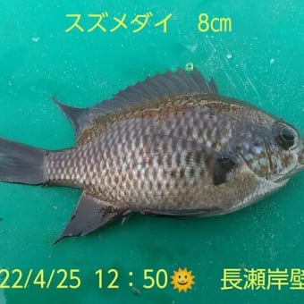 笑転爺の釣行記　4月25日⛅　長瀬岸壁