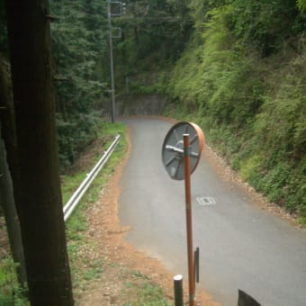 飯能アルプスを行く（天覧山～子の権現～伊豆ヶ岳～武川岳～大持・子持～武甲山～浦山口）