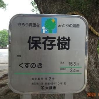 大阪市保存樹第２号