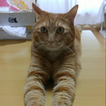 今さら？？