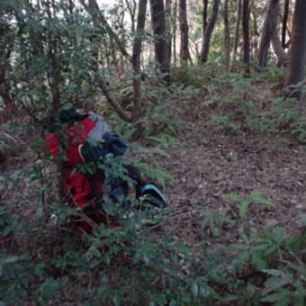 明けましておめでとうございます