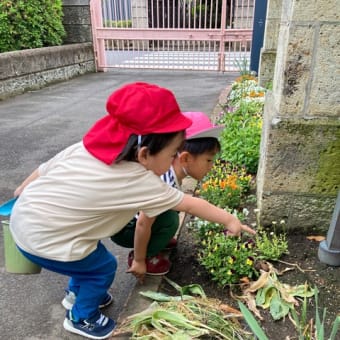 楽しい事見つけたよ！